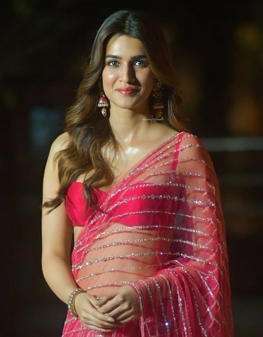 Bollywood Style Butterfly Net Saree With Lace Work For Women