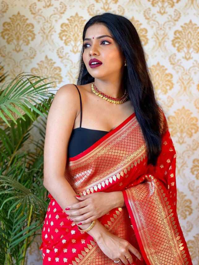 Red Soft Banarasi Silk Saree With Blouse