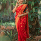 Wedding Wear Red Color Golden Jari Design Saree