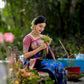 Banarasi Pure Silk Blue Saree With Zari Border