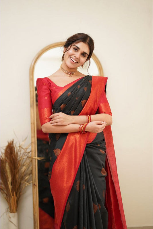 Function wear Black and Red Banarasi Silk Saree For Women