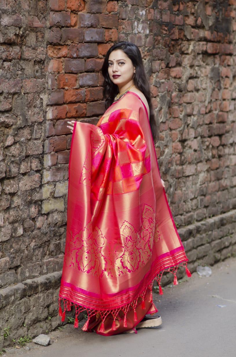 Pure Silk Kanjivaram saree with Designer Blouse