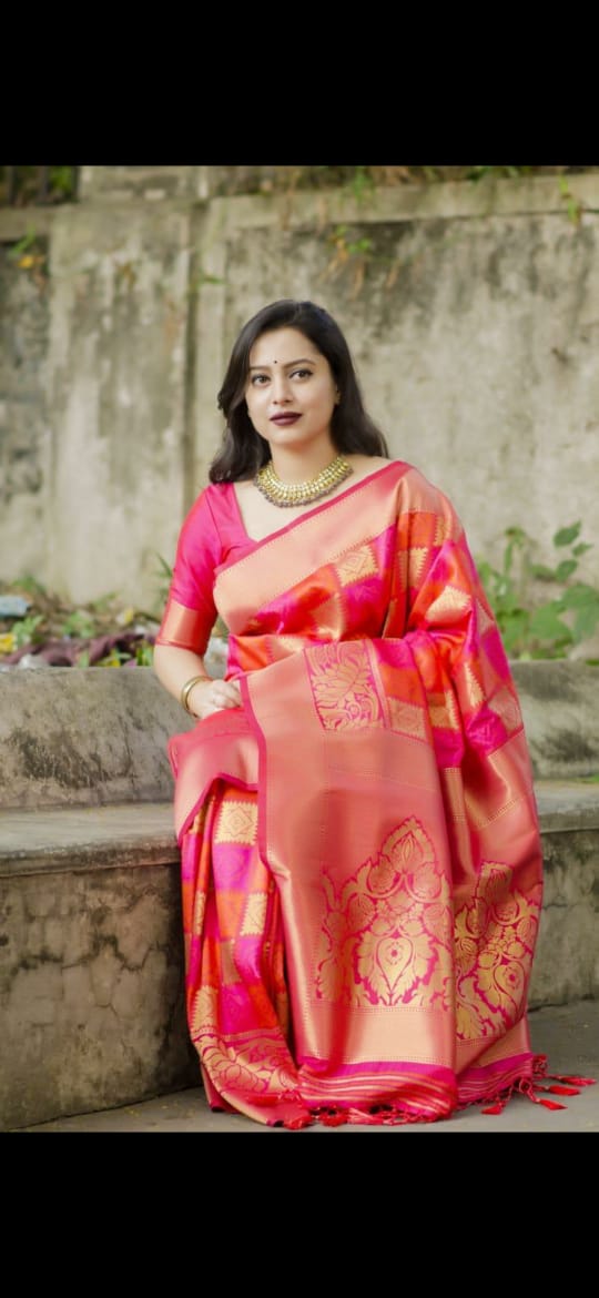 Kanjivaram saree with Designer Blouse for partywear