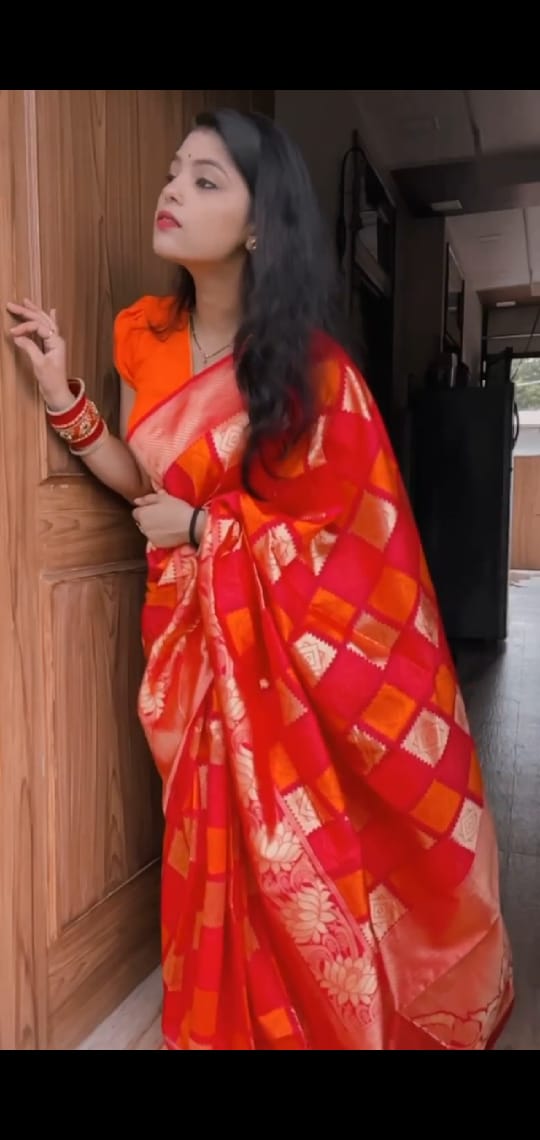 elegant saree with designer blouse