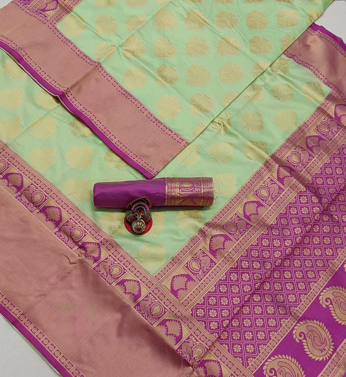 Silk Sari with Designer Blouse 