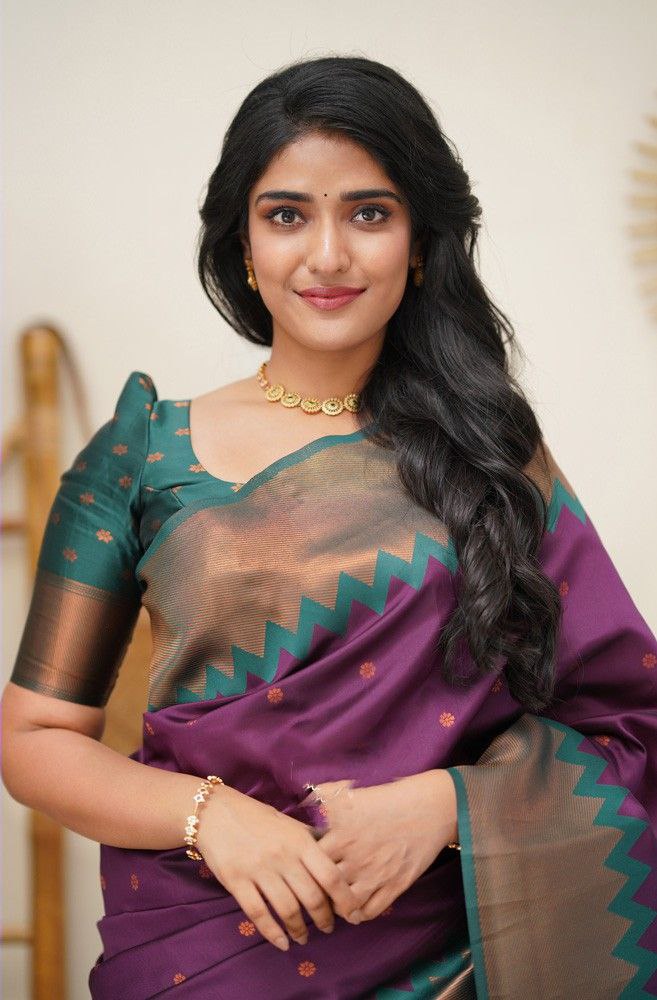 Kanjeevaram sari with blouse